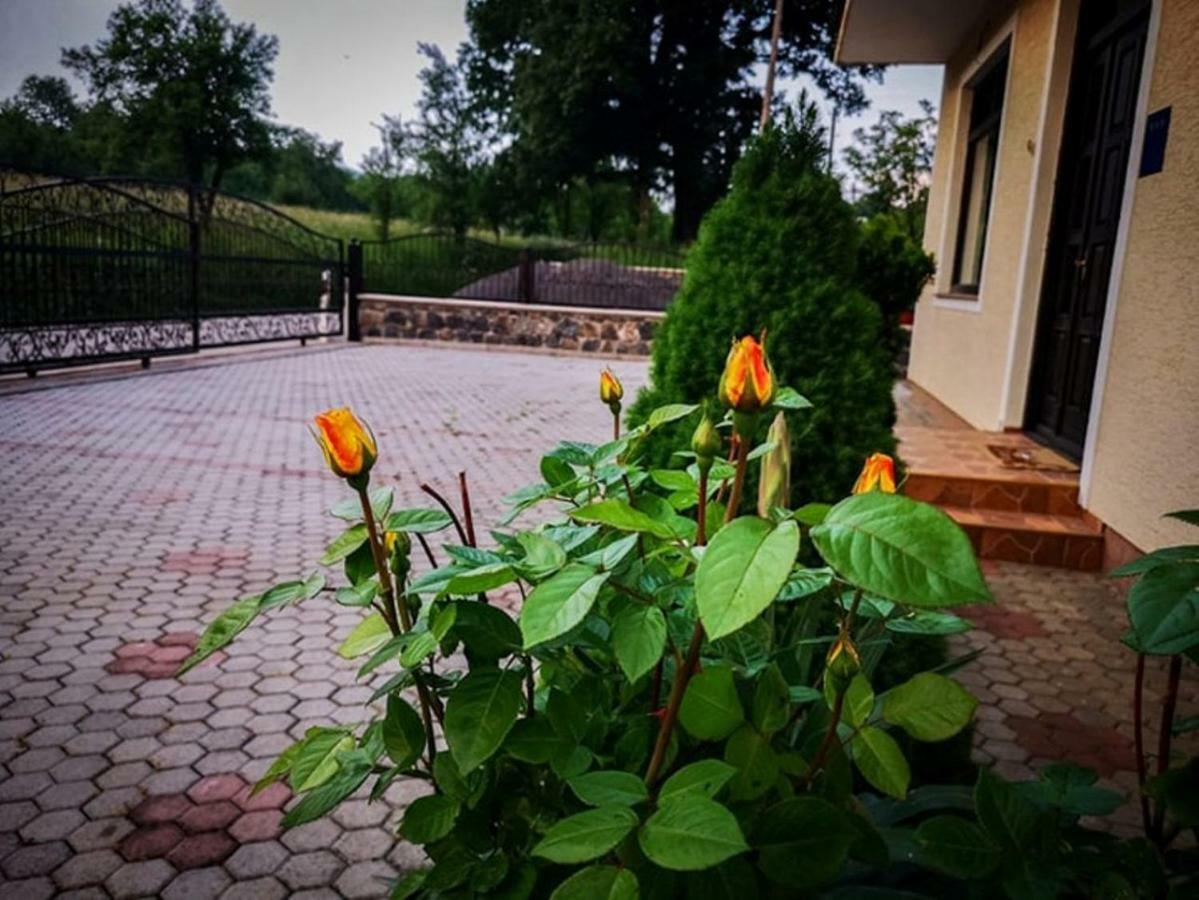 Gacka-Beautiful Place In Nature Otočac المظهر الخارجي الصورة